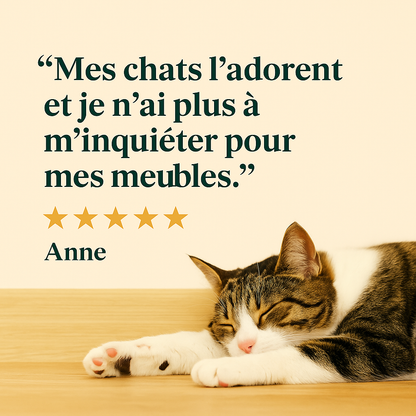 Griffoir adhésif Sisaléa