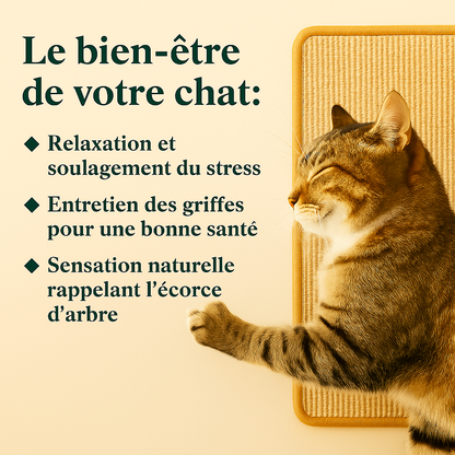 Griffoir adhésif Sisaléa