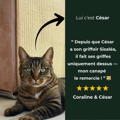 Griffoir adhésif Sisaléa